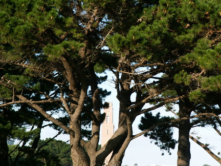 20060808 203137